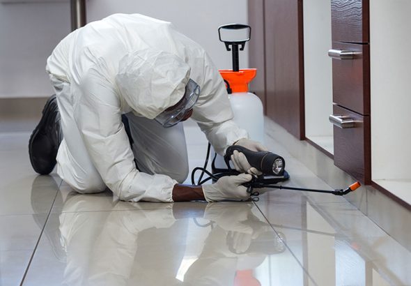 Keeping Lewisville Safe: Essential Pest Control Services for Residents and Businesses